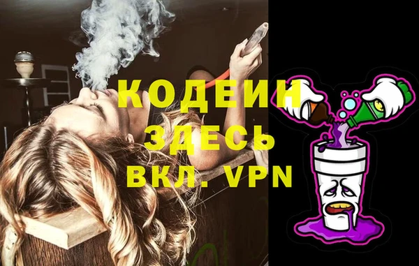 индика Арсеньев
