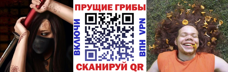 Галлюциногенные грибы мицелий  магазин продажи   KRAKEN сайт  Ельня 